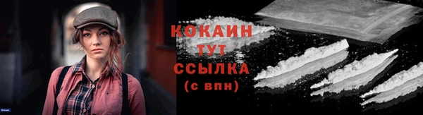 гидра Волоколамск