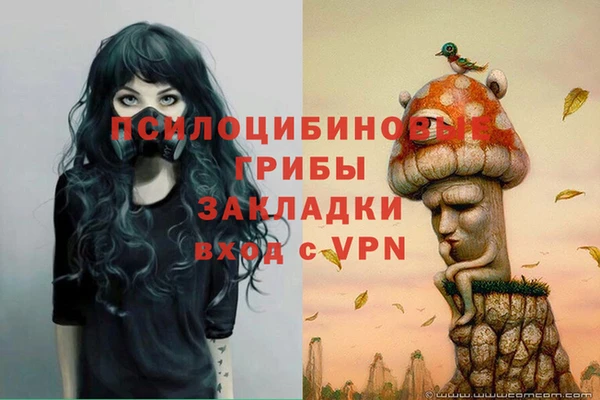 гидра Волоколамск