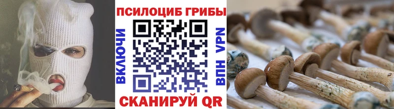 купить наркотики цена  Плавск  Псилоцибиновые грибы прущие грибы 